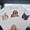 Customized Animals Cats And Dogs Epoxy Badge Pin