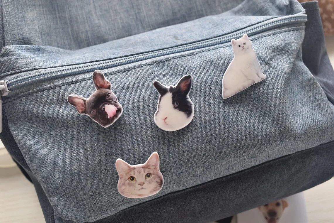 Customized Animals Cats And Dogs Epoxy Badge Pin